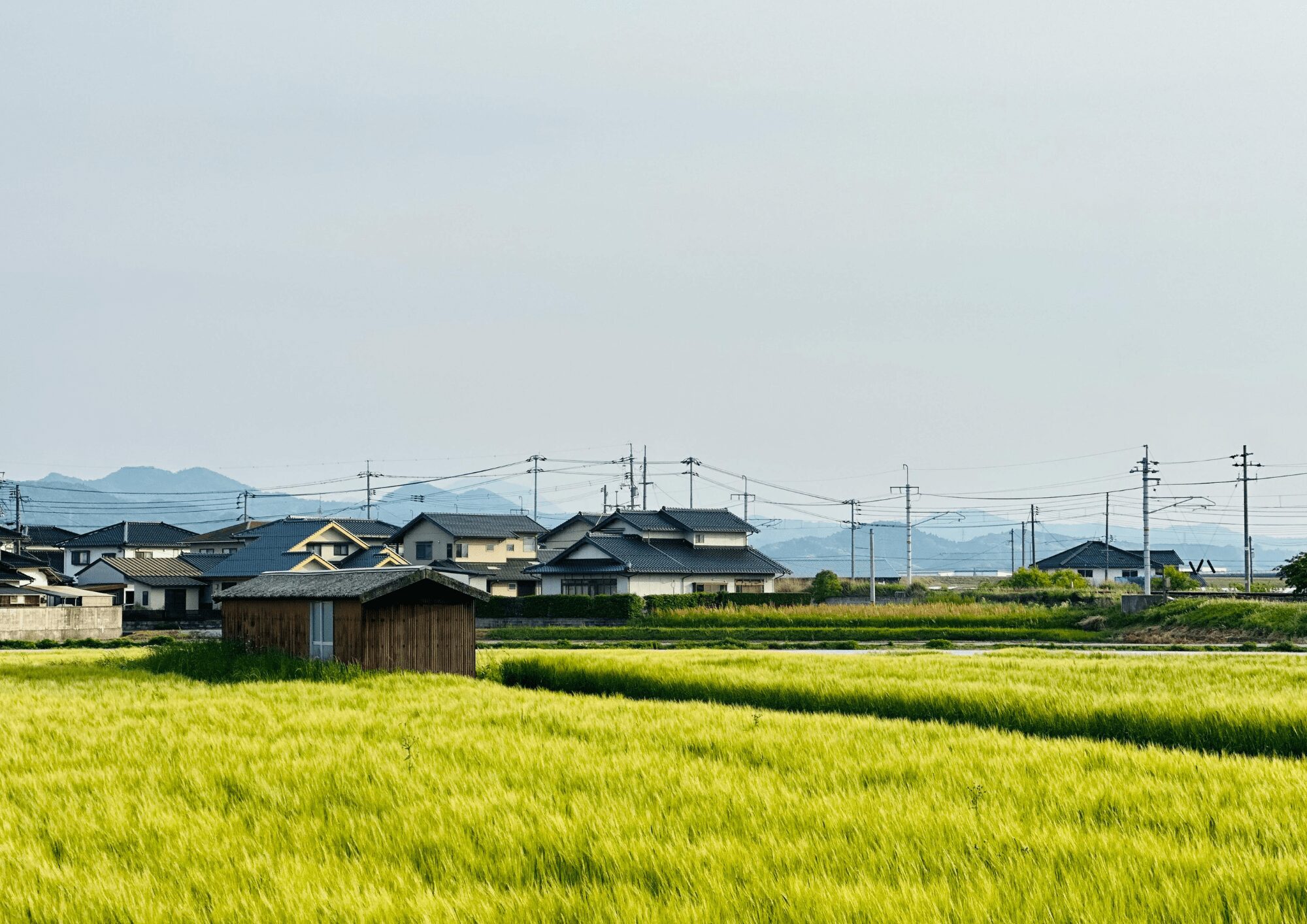 アンテナが張り巡らされた街並みの画像